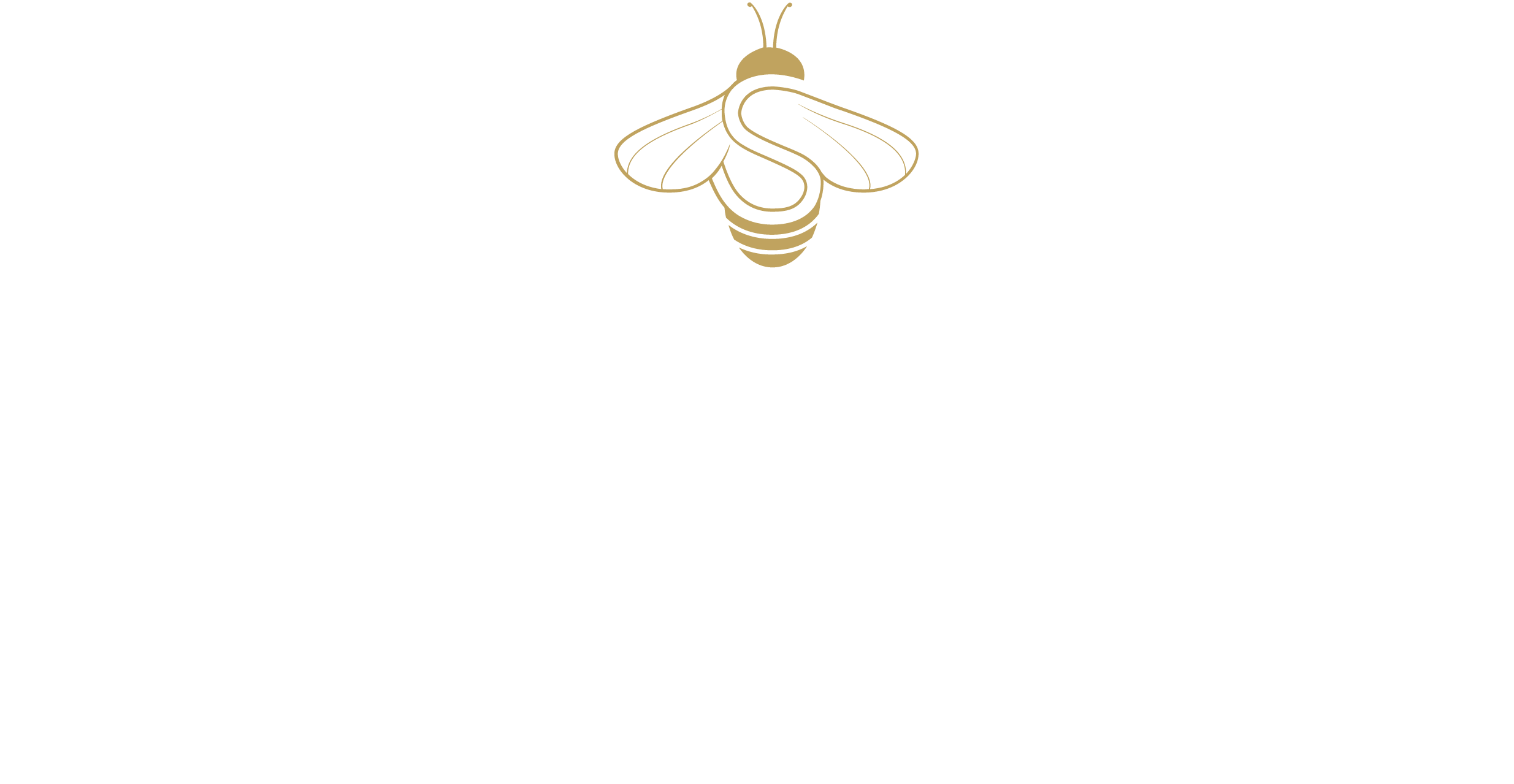 Saulaie