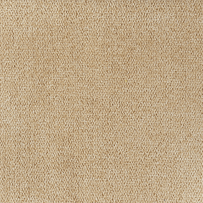 Tissu camel - Queens Tissu camel - Queens