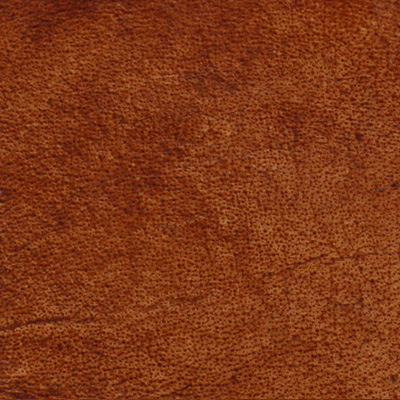 Cuir de buffle pleine fleur - marron clair - Anile Cuir de buffle pleine fleur - marron clair - Anile