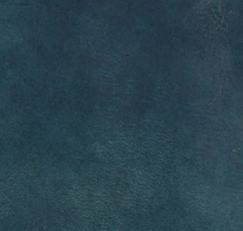 Cuir bleu - Anile