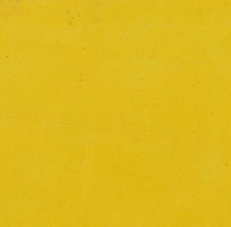 Cuir jaune - Anile