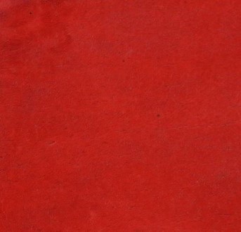 Cuir rouge - Anile