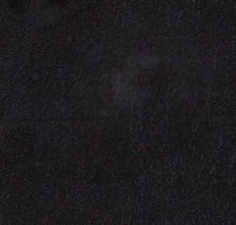 Cuir noir - Anile