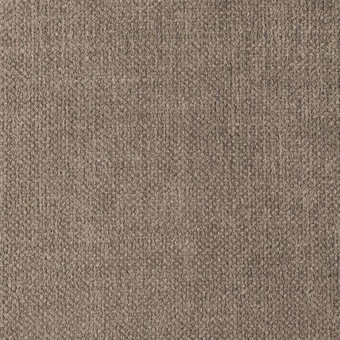 Tissu taupe - Apollo