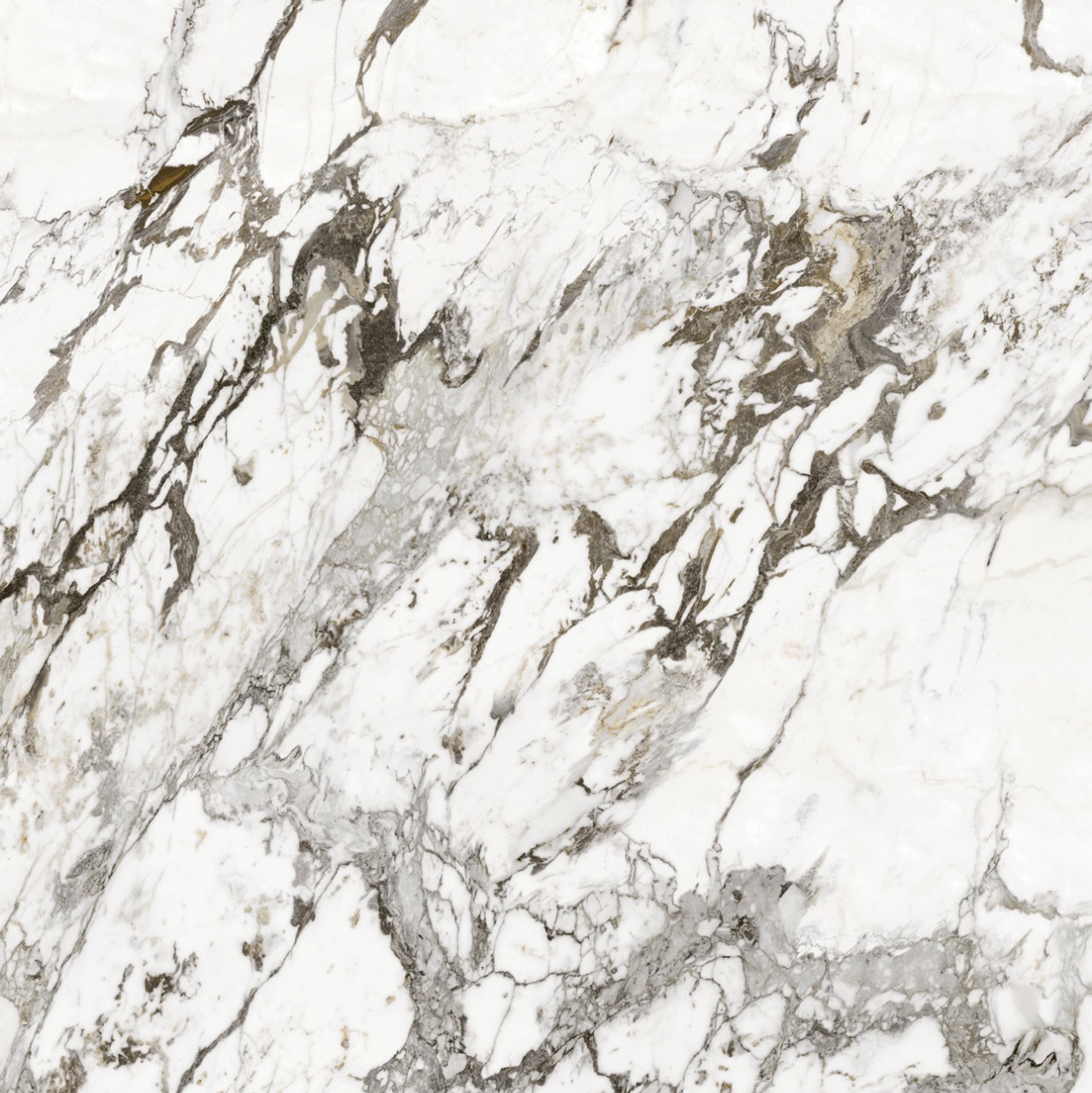 Marbre blanc M3- Finition Brillant Marbre blanc M3- Finition Brillant