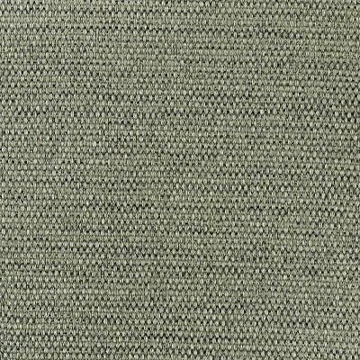 Tissu vert sauge - Seattle Tissu vert sauge - Seattle