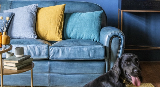 2 seater leather club sofa blue studded armrests