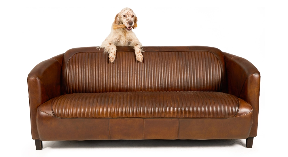 Canapé club cuir 3 places marron vintage Canapé club cuir 3 places marron vintage