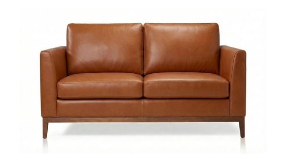 Canapé design 2 places cuir châtain