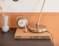 Black articulated desk lamp with black shade and gold interior Black articulated desk lamp with black shade and gold interior