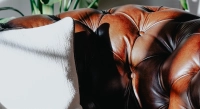Canapé Chesterfield cuir 3 places marron vintage accoudoirs cloutés Canapé Chesterfield cuir 3 places marron vintage accoudoirs cloutés