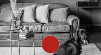 3 seater leather club sofa red studded armrests 3 seater leather club sofa red studded armrests