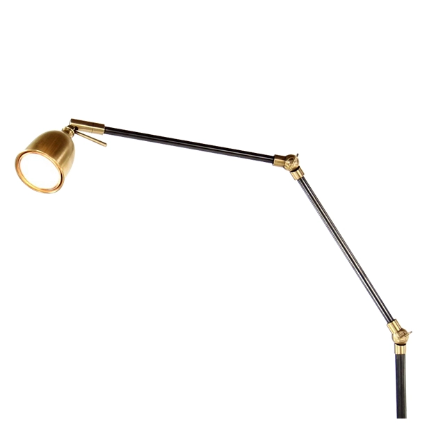 Black and gold articulated floor lamp Black and gold articulated floor lamp