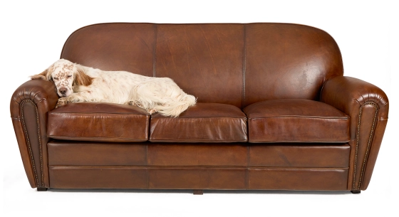 Canapé club cuir 3 places marron vintage accoudoirs cloutés