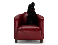 Leather club armchair carmine red Leather club armchair carmine red