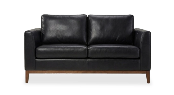 Canapé design 2 places cuir ébène