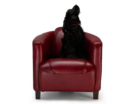 Leather club armchair carmine red