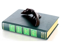 Bronze animalier canard en amerrissage Bronze animalier canard en amerrissage