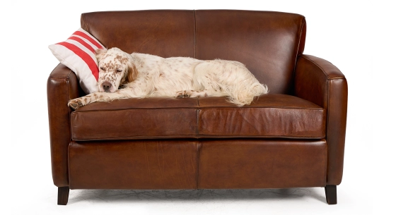 Canapé club cuir 2 places marron vintage