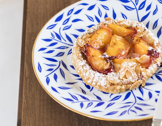 Limoges porcelain flat plate set of 6