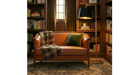 Canapé ancien 2 places accoudoirs moulurés bois teinte ancienne et cuir châtain