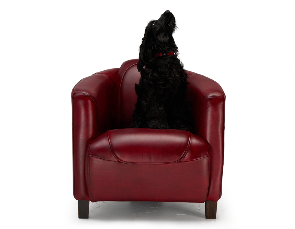 Leather club armchair carmine red Leather club armchair carmine red